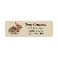 Cottontail Rabbit address