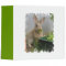 Cottontail Rabbit Binder