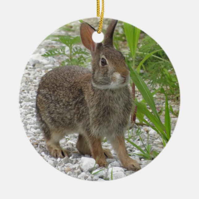Cottontail Rabbit Ceramic Ornament (Front)