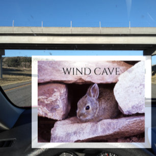 Cottontail Rabbit Hiding in Rocks, Wind Cave NP Postcard