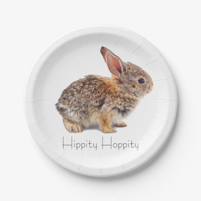 Cottontail Rabbit Paper Plate (Front)