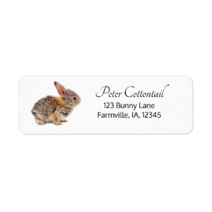 Cottontail Rabbit Return Address