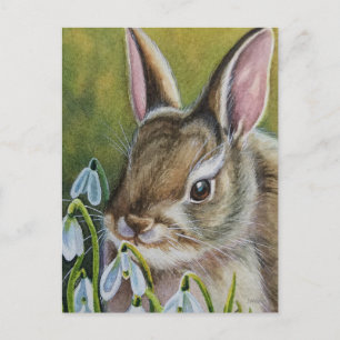 Cottontail Rabbit & Snowdrops Watercolor Art Postcard
