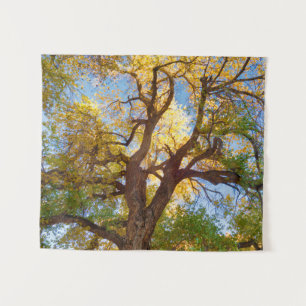 Cottonwood Tree   Capitol Reef National Park, Utah Tapestry