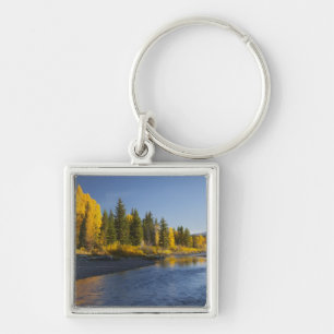 Cottonwood trees reflected in Pacific Creek Keychain