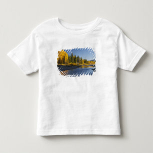 Cottonwood trees reflected in Pacific Creek Toddler T-shirt