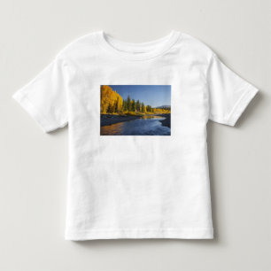 Cottonwood trees reflected in Pacific Creek Toddler T-shirt