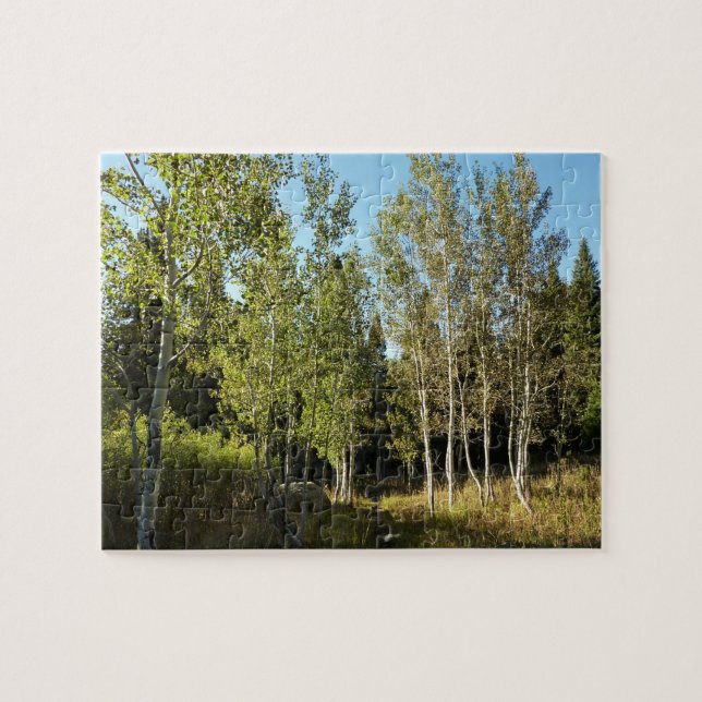Cottonwoods Along Moose Ponds Trail at Grand Teton Jigsaw Puzzle (Horizontal)