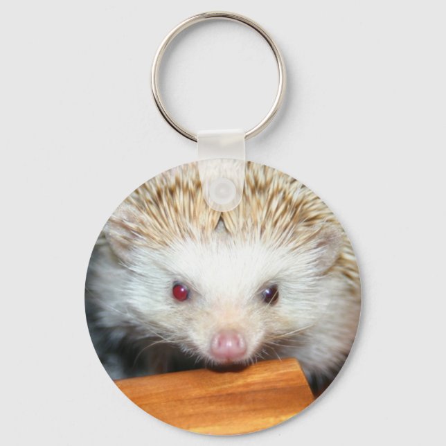 Cotty hedgehog keychain (Front)
