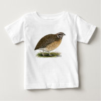 Coturnix Pharaoh Quail