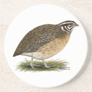 Coturnix Pharaoh Quail Coaster