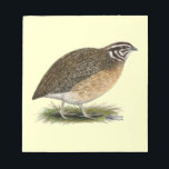 Coturnix Pharaoh Quail Notepad<br><div class="desc">This little bird is known by many names.  It is migratory by nature and a common game bird where it is still wild.</div>
