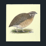 Coturnix Pharaoh Quail Notepad<br><div class="desc">This little bird is known by many names.  It is migratory by nature and a common game bird where it is still wild.</div>