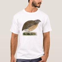Coturnix Pharaoh Quail