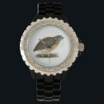 Coturnix Pharaoh Quail Watch<br><div class="desc">This little bird is known by many names.  It is migratory by nature and a common game bird where it is still wild.</div>