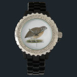 Coturnix Pharaoh Quail Watch<br><div class="desc">This little bird is known by many names.  It is migratory by nature and a common game bird where it is still wild.</div>
