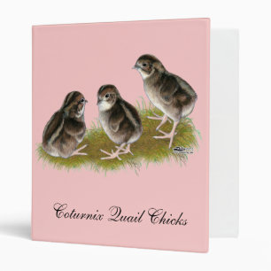 Coturnix Quail Chicks Binder
