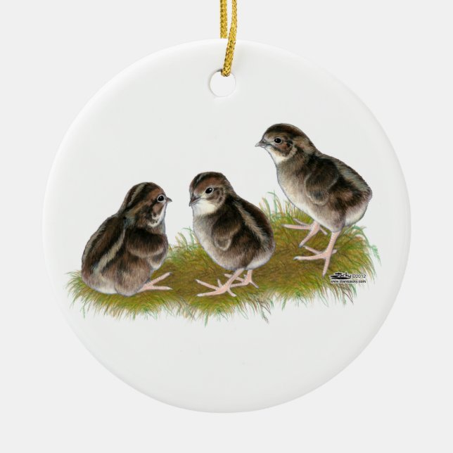 Coturnix Quail Chicks Ceramic Ornament (Front)