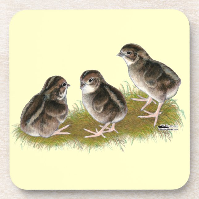 Coturnix Quail Chicks Coaster (Front)