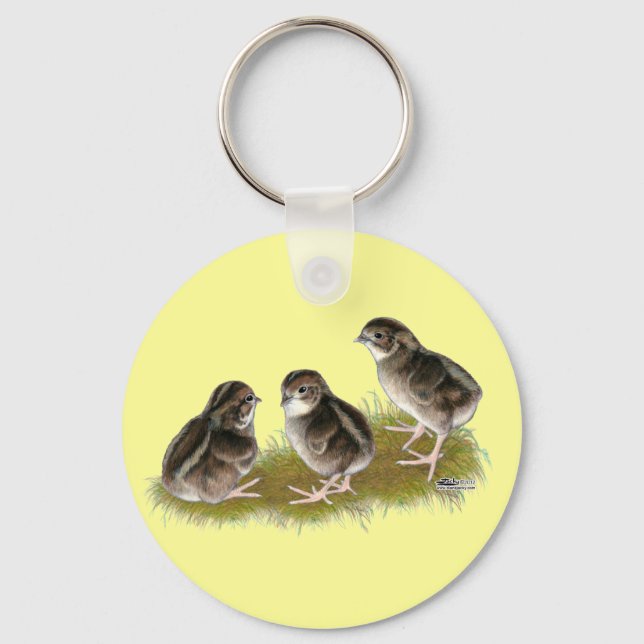 Coturnix Quail Chicks Keychain (Front)