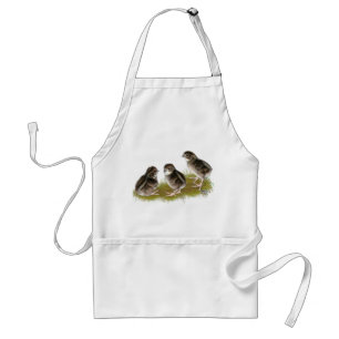 Coturnix Quail Chicks Standard Apron