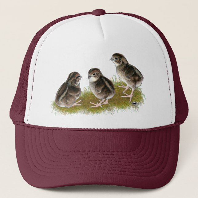 Coturnix Quail Chicks Trucker Hat (Front)
