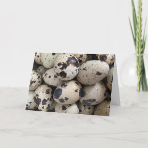 Coturnix Quail Egg Card