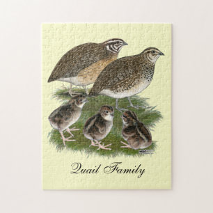 Coturnix Quail Family Jigsaw Puzzle