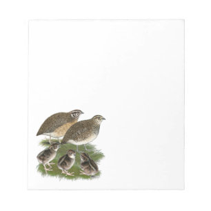 Coturnix Quail Family Notepad