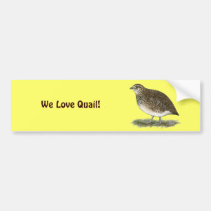 Coturnix Quail Hen Bumper Sticker