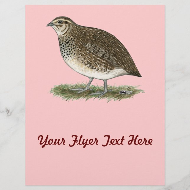 Coturnix Quail Hen Flyer (Front)