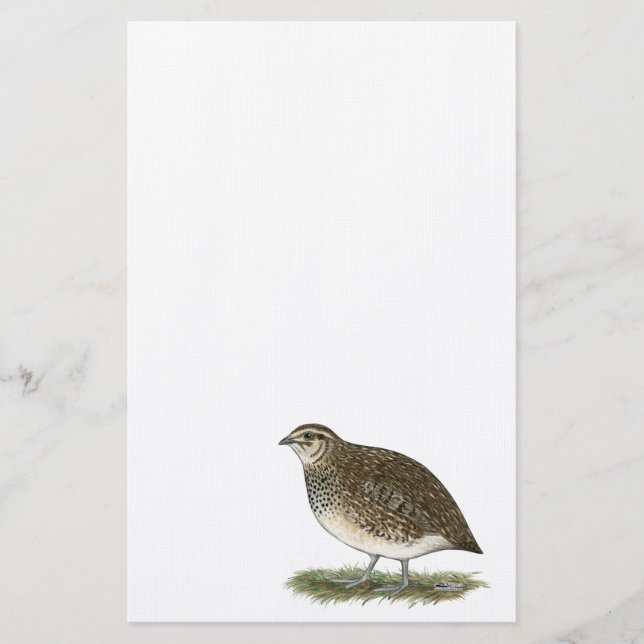 Coturnix Quail Hen Stationery (Front)