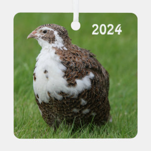 Coturnix Quail in the grass Metal Ornament