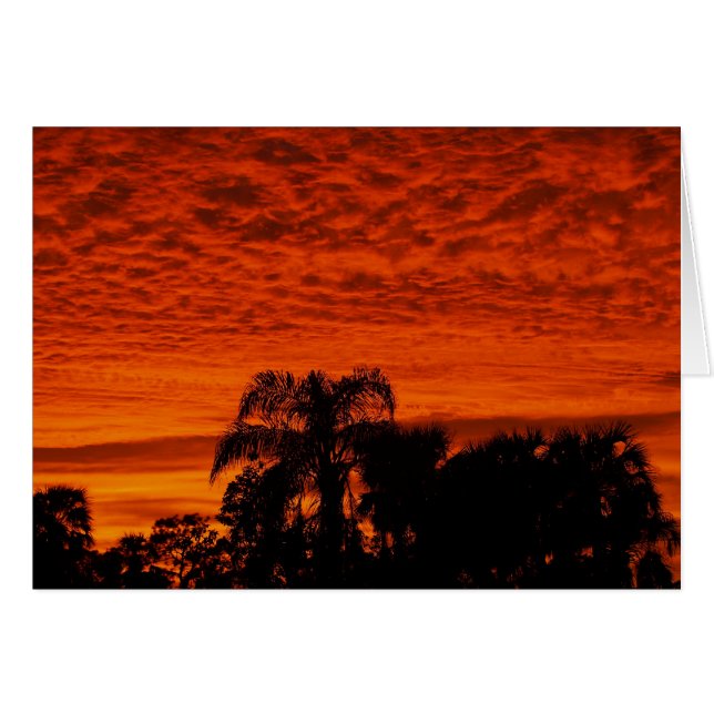 Couché de soleil de Floride (Devant horizontal)