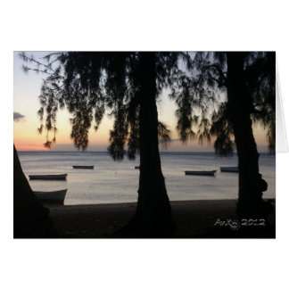 Coucher de soleil à Albion