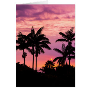 Coucher de soleil à travers les palmiers