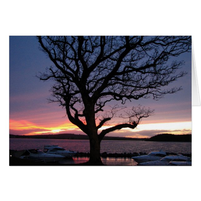 Coucher de soleil au port (Devant horizontal)