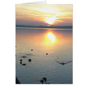 Coucher de soleil avec canards dans le lac, carte