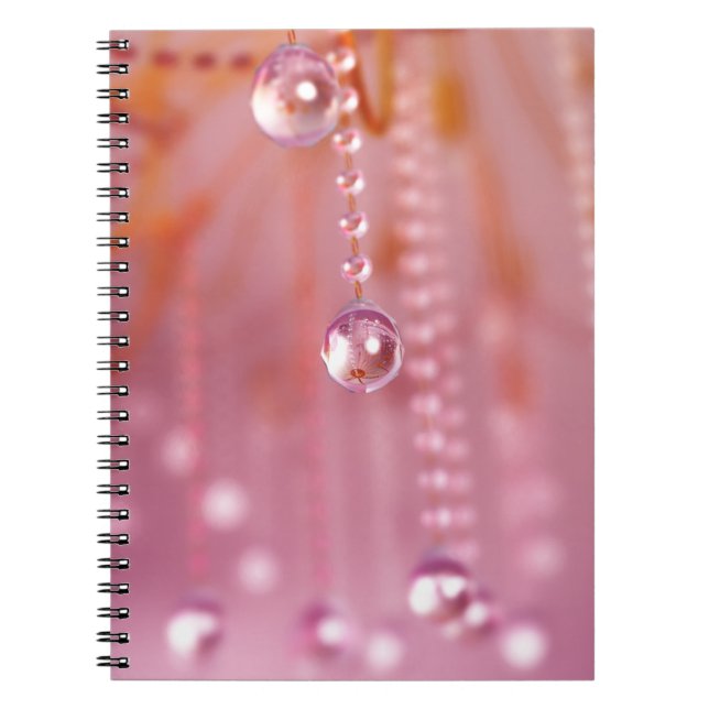 Coucher de soleil dans le Carnet de cristal (Devant)
