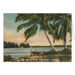 Coucher de soleil de brise tropicale vintage de co