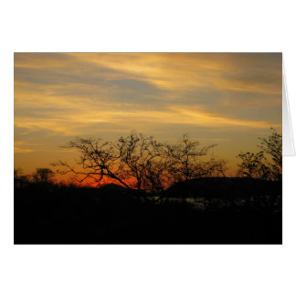 Coucher de soleil de forêt sèche