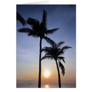 coucher de soleil de palmier mannequin