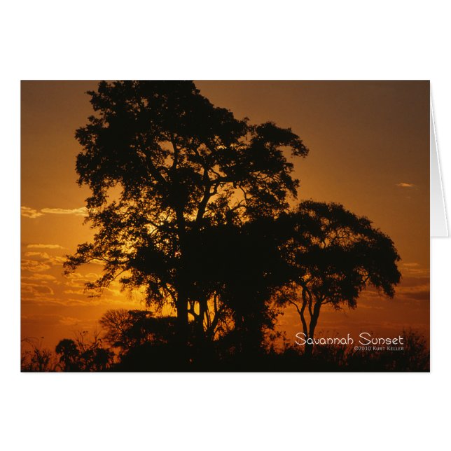 Coucher de soleil de Savannah (Devant horizontal)