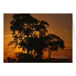 Coucher de soleil de Savannah