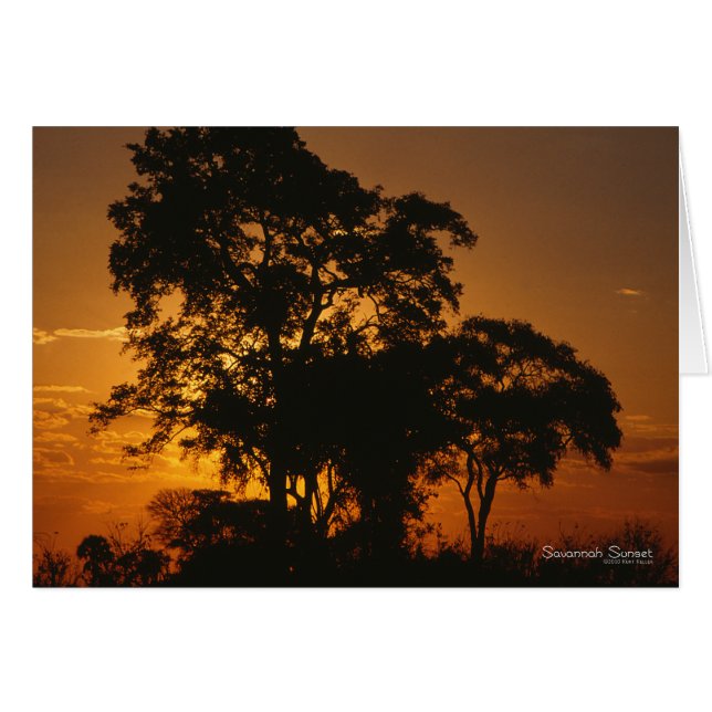 Coucher de soleil de Savannah (Devant Horizontal)