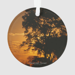 Coucher de soleil de Savannah