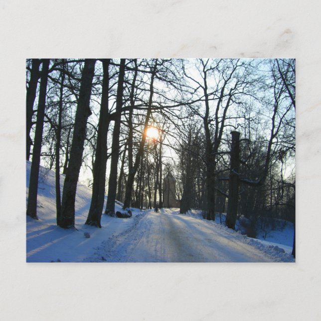 Coucher de soleil d'hiver - carte postale (Devant)