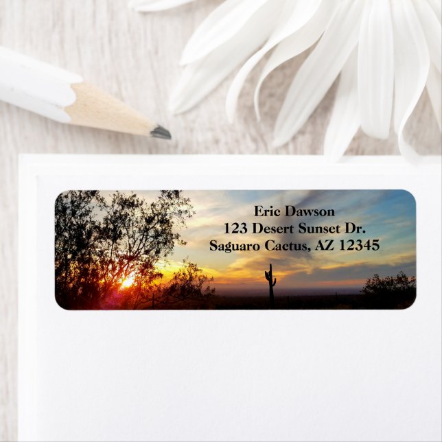 Coucher de soleil du désert de l'Arizona avec Sagu (En situation)