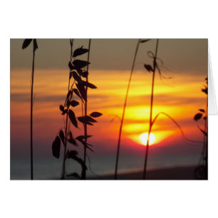 Coucher de soleil en hiver