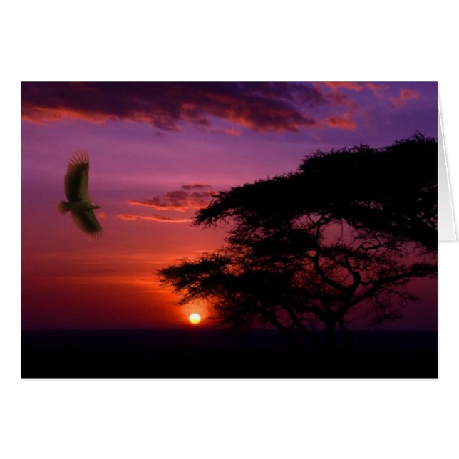 Coucher de soleil en Serengeti, Tanzanie (Devant horizontal)